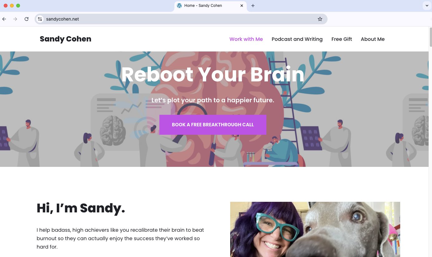 Homepage of sandycohen.net with the headline Reboot Your Brain over an illustration of scientists around a brain